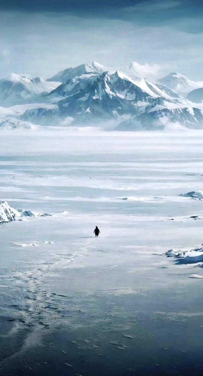 The objective of anxiety is to protect already-possessed value. 

This is why women are more anxious than men. They are born valuable, incessantly worrying about not losing the value they have, while men born only with potential to become valuable worry far less.

It is also why