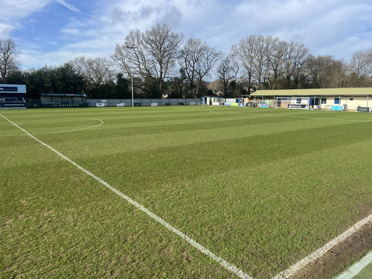 nick collick tweet media