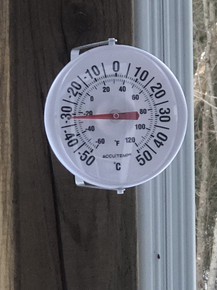 Even the brass monkey is staying inside today