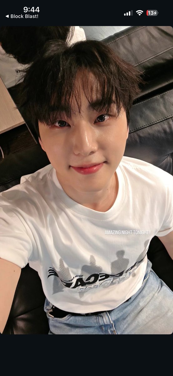 이 뽀둥 아기고양이 뭐야