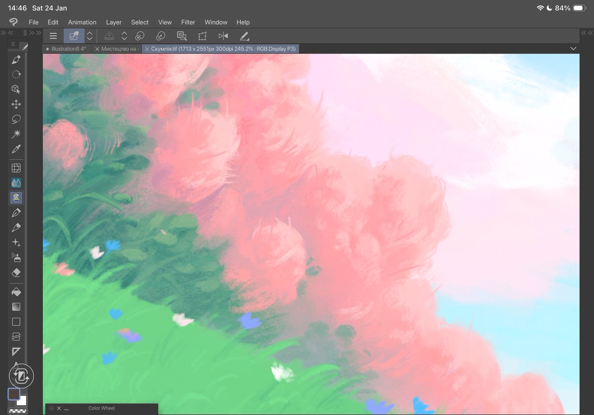 Передзамовляйте красу✨