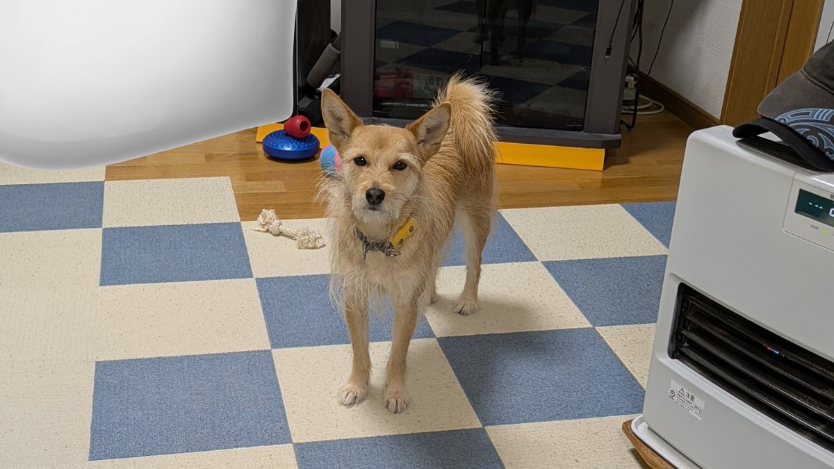 犬ちゃん 犬 ベッド ディズニー 101匹わんちゃん カドラーベッド (53×53cm