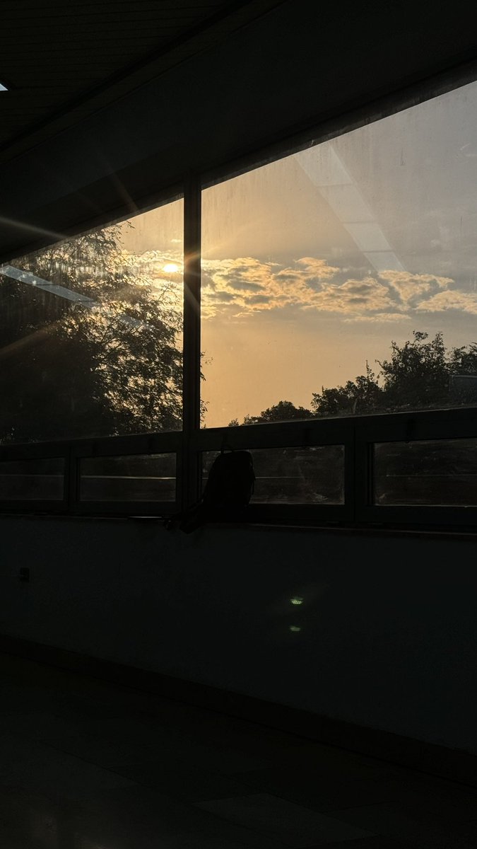 Asil Khalid F. tweet media