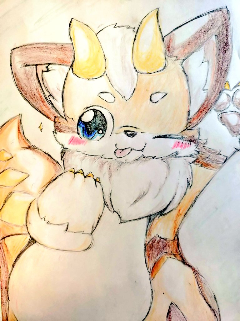 夢もふにてお会いした、いぬどらのはむくん
可愛すぎた本当にありがとうございました