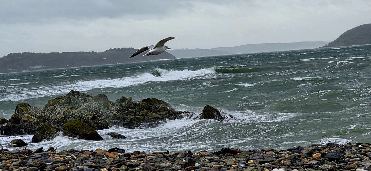 Guernsey10's tweet photo. 🌊💚🇬🇬 https://t.co/lhlWaiObBr
