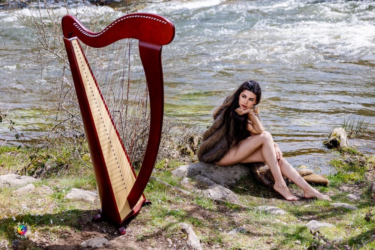 Harpee Dreams tweet media