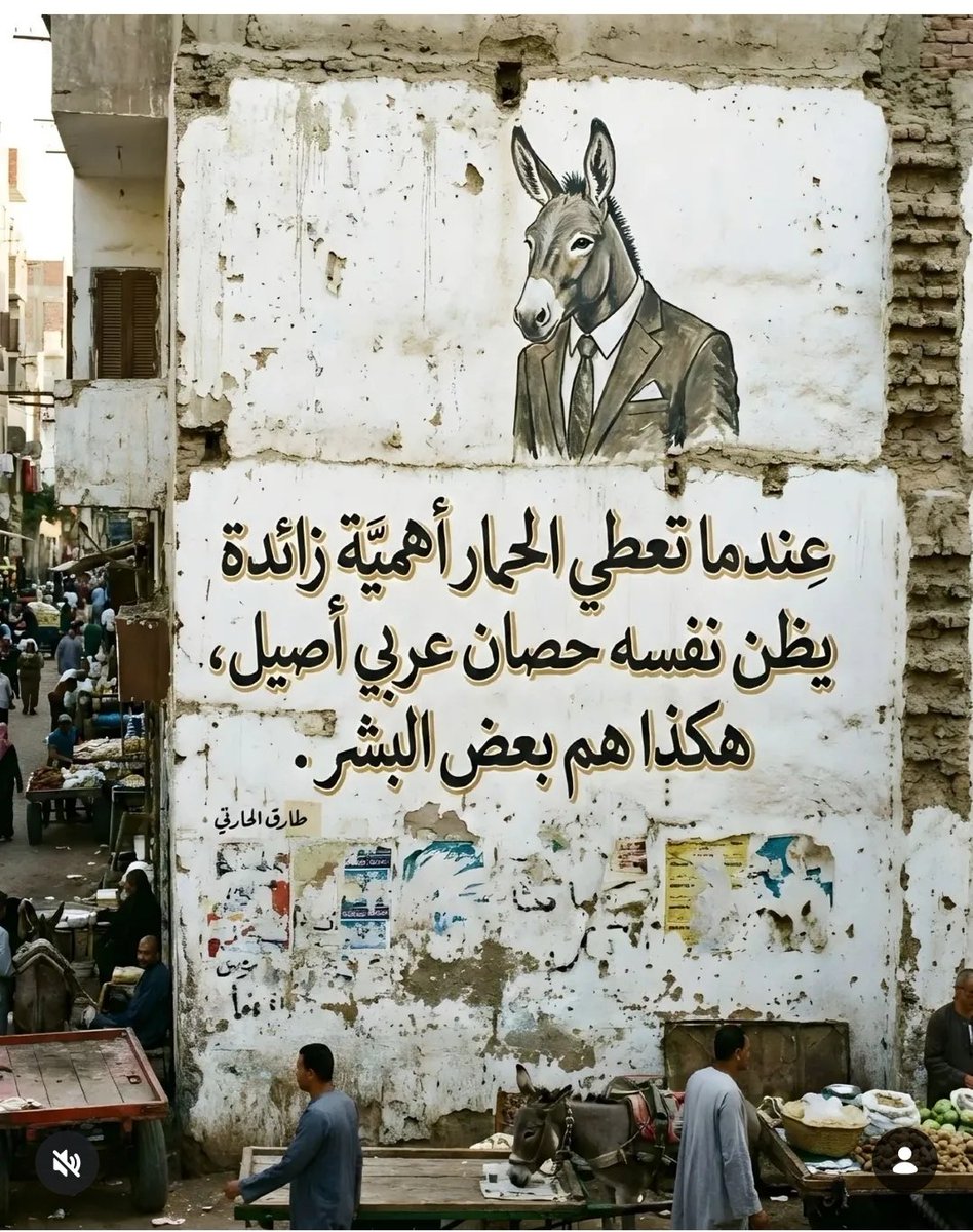 سلمى نور (@salma_noor14) on Twitter photo 