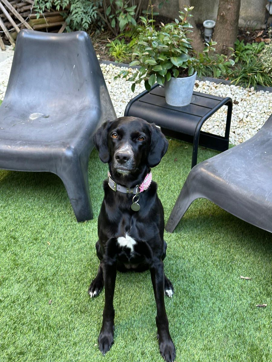 Julien Courbet tweet media