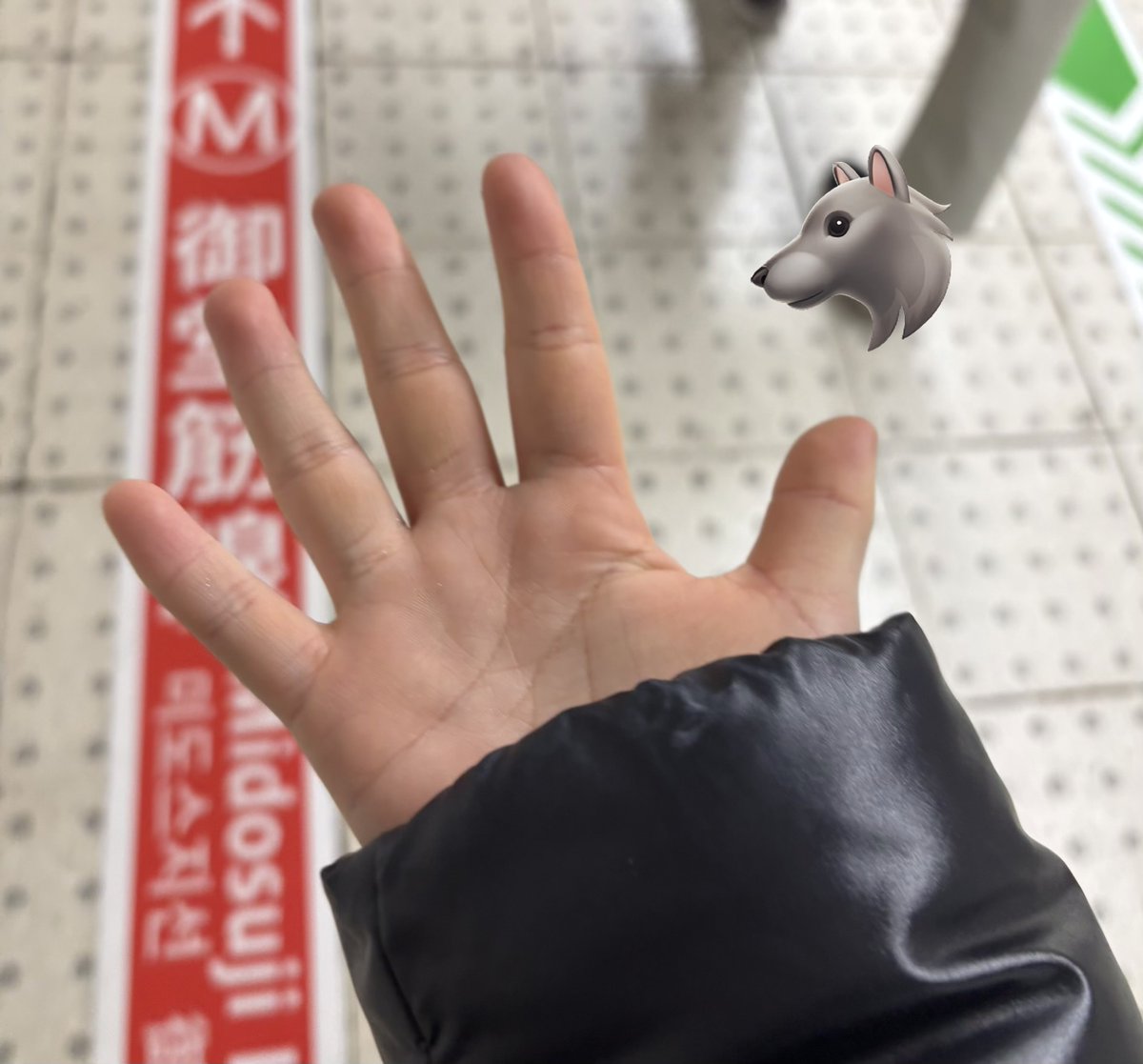 Leeya🐰🎀🐺 tweet media