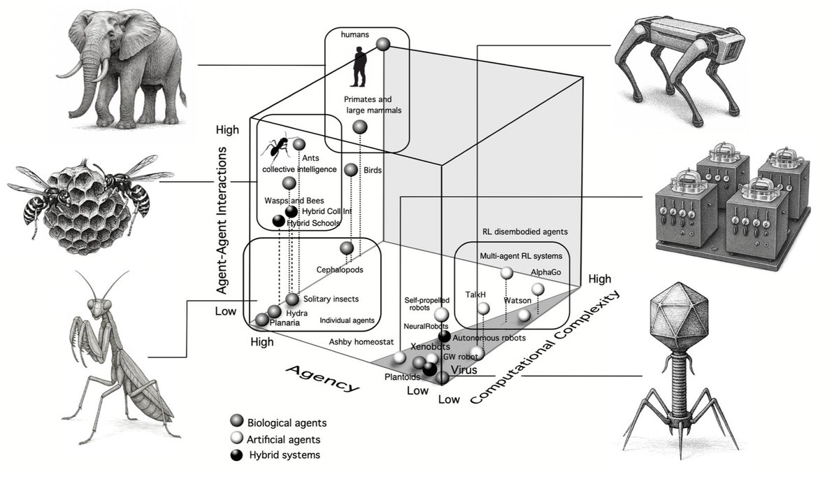 Carlos E. Perez tweet media