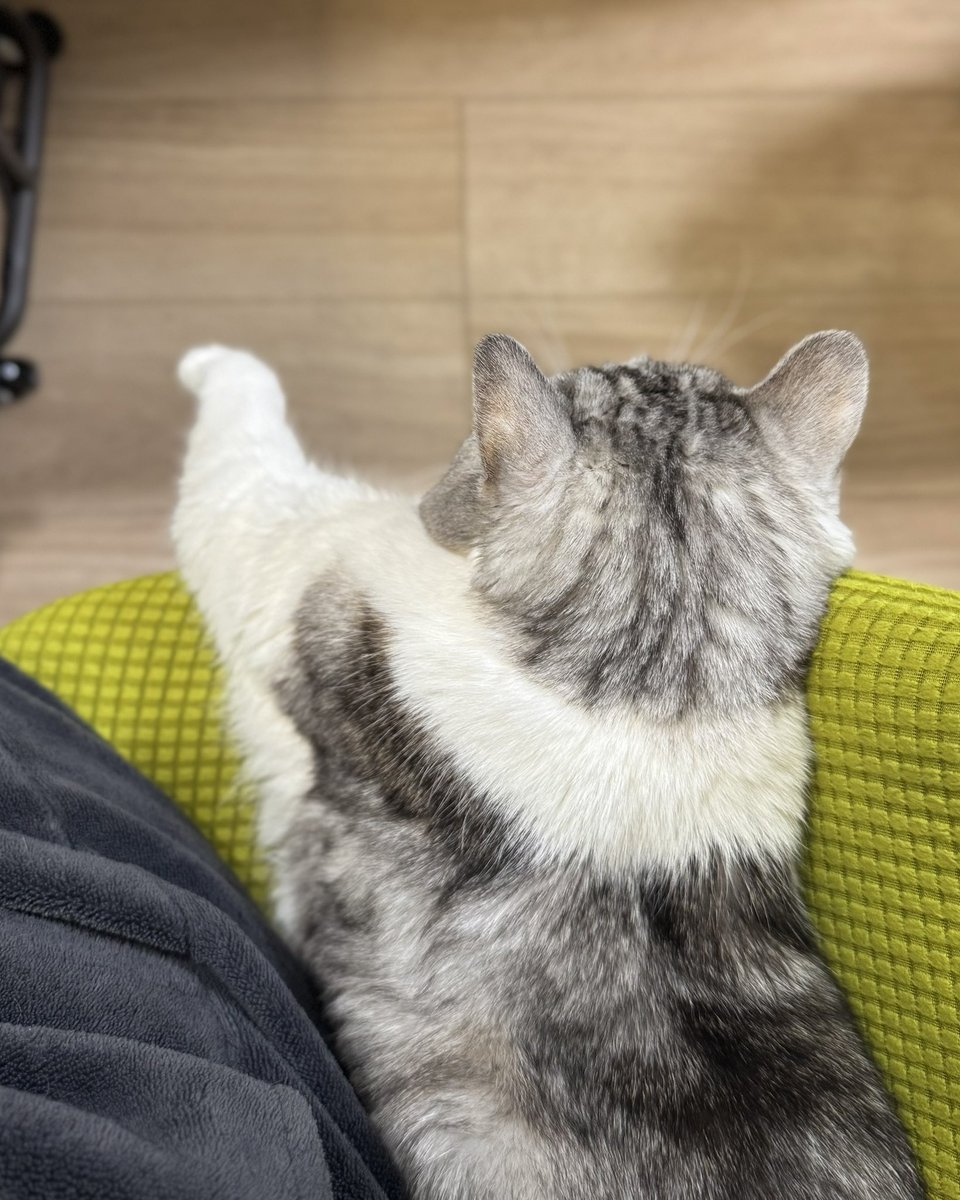 相席が好きです♡