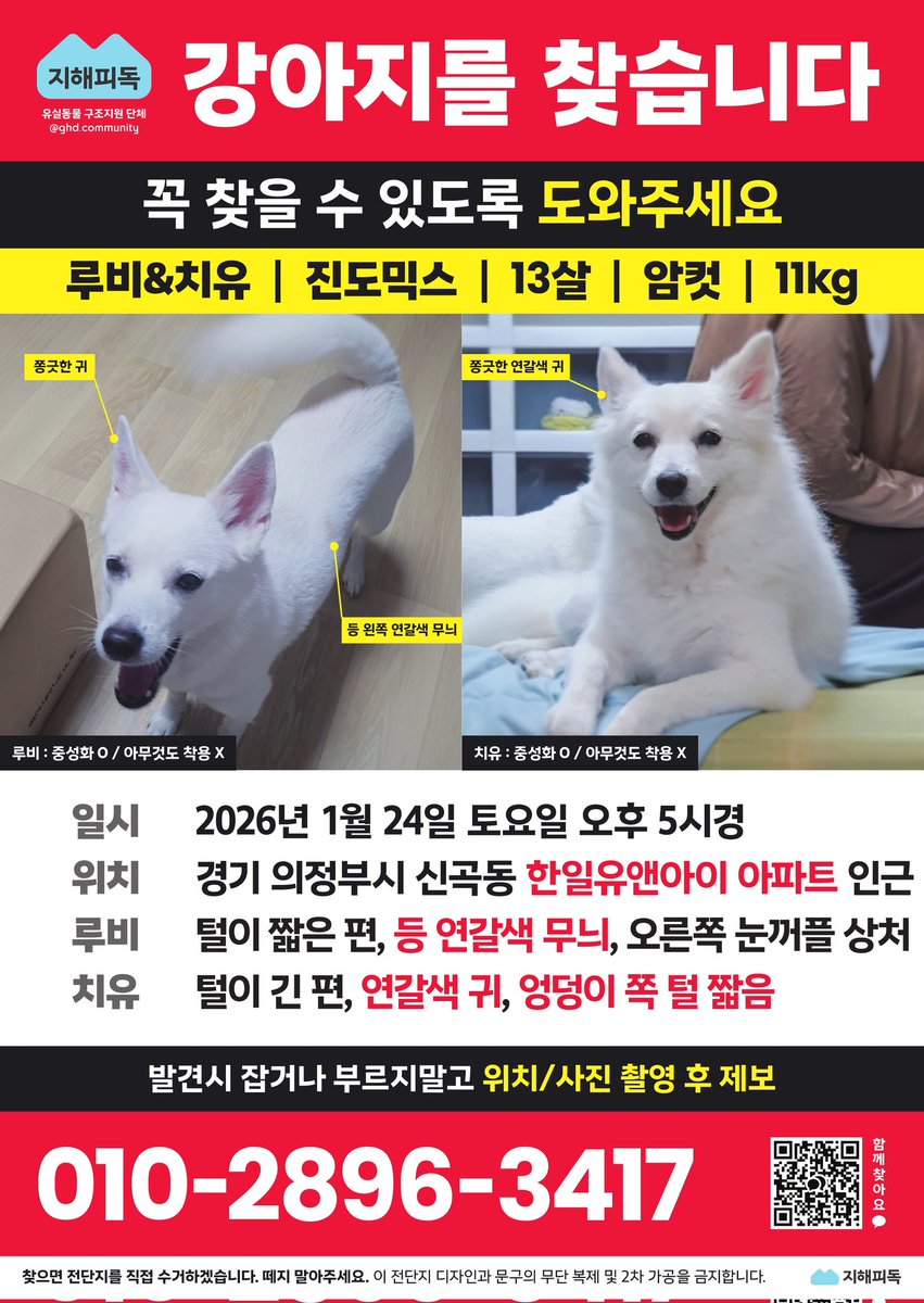 nomorelostpets's tweet image. 루비와 치유 전단지입니다
13살 노견이에요 많은 관심 부탁드려요 🙏