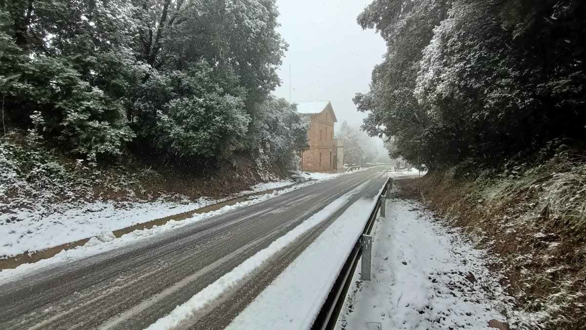 Canal Terrassa tweet media