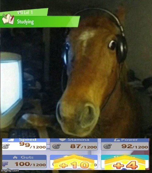 <a href="/say_nri/">Pedkung</a>