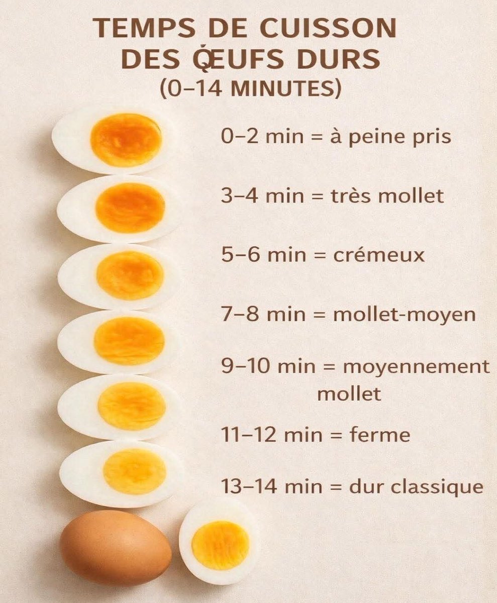 avokatoptimist' tweet media