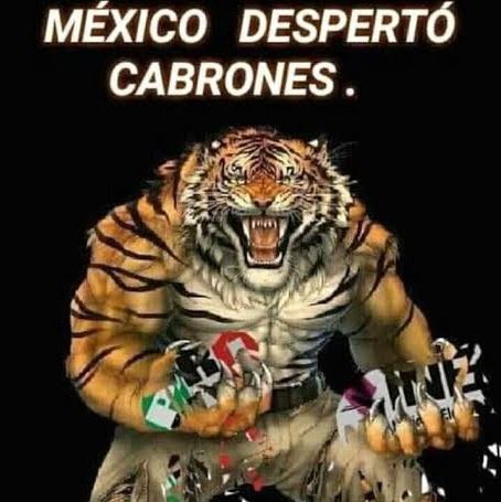 MaidenYoon1's tweet image. Entre más internacional y más ruido se haga mejor nos va, que se destape su mierda.

NO A LA REVENTA EN MÉXICO 
#NoALosRevendedores
#NoALaReventa 
#ARMYNoCompraReventa