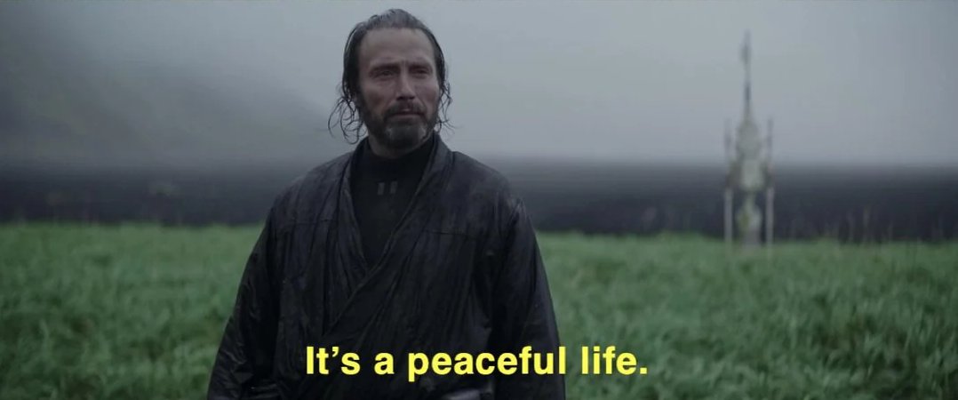 FPL Ally tweet media