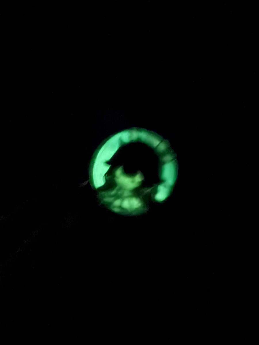 結構光るなこれ