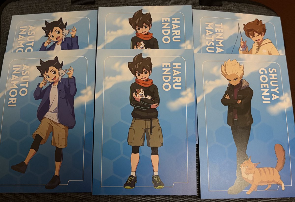 交換 イナズマイレブン イナイレ まねきねこコラボ ポスカ 譲）松風