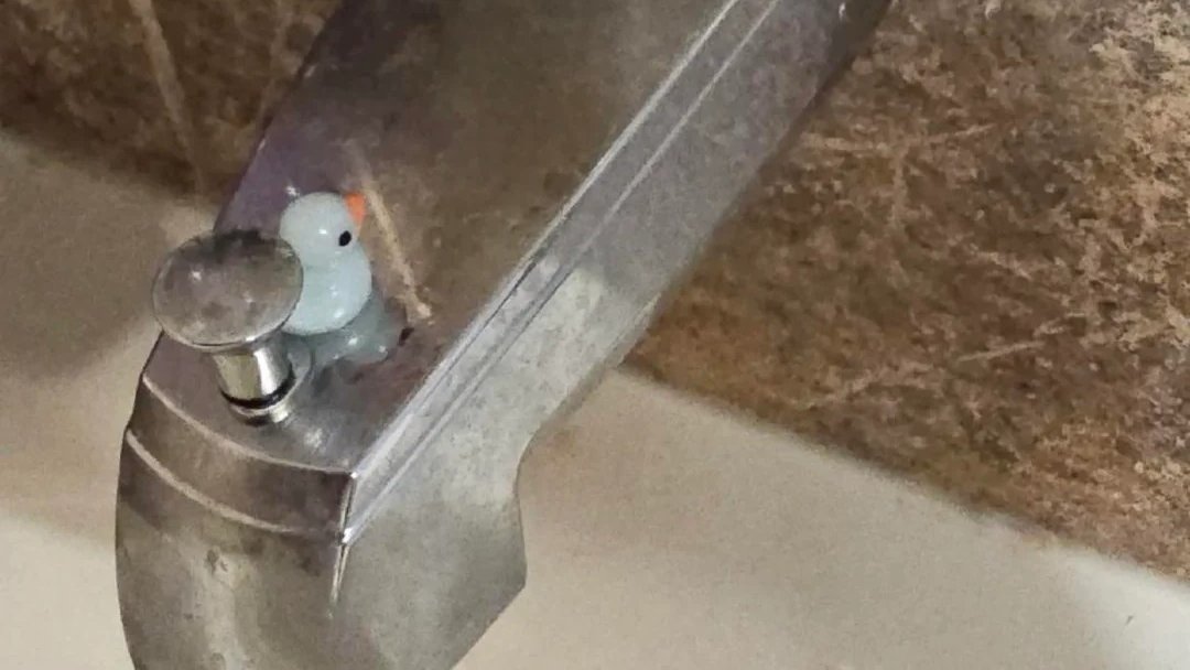 Boşuna Tıklama tweet media