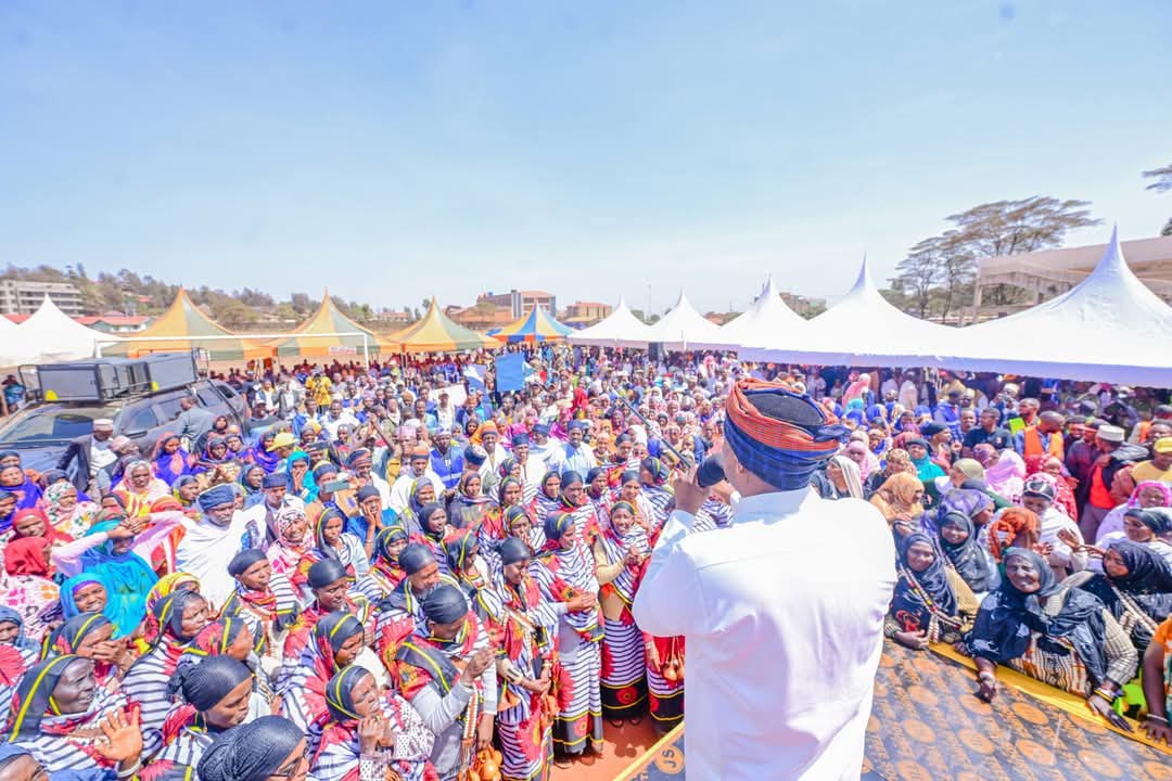 Hon.Rasso tweet media