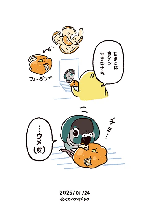 🍊 