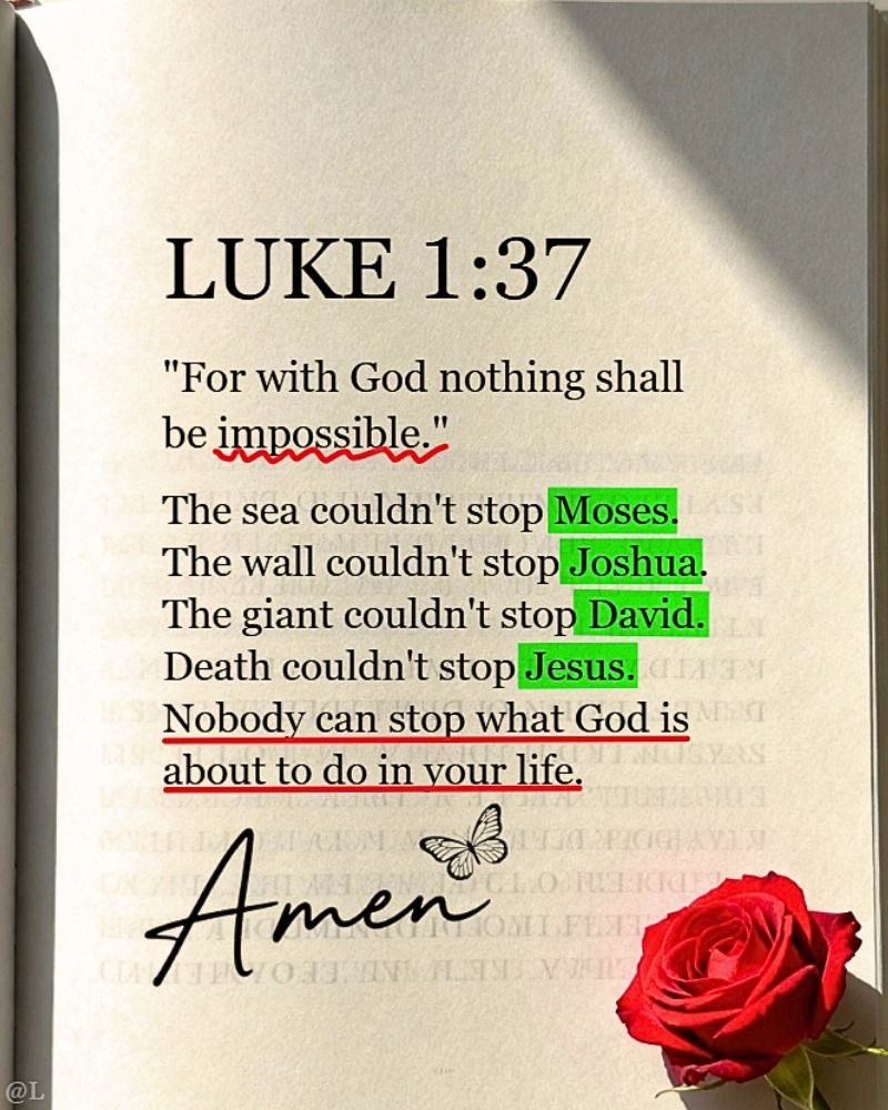 Holy Bible (@holy__bible1) on Twitter photo 