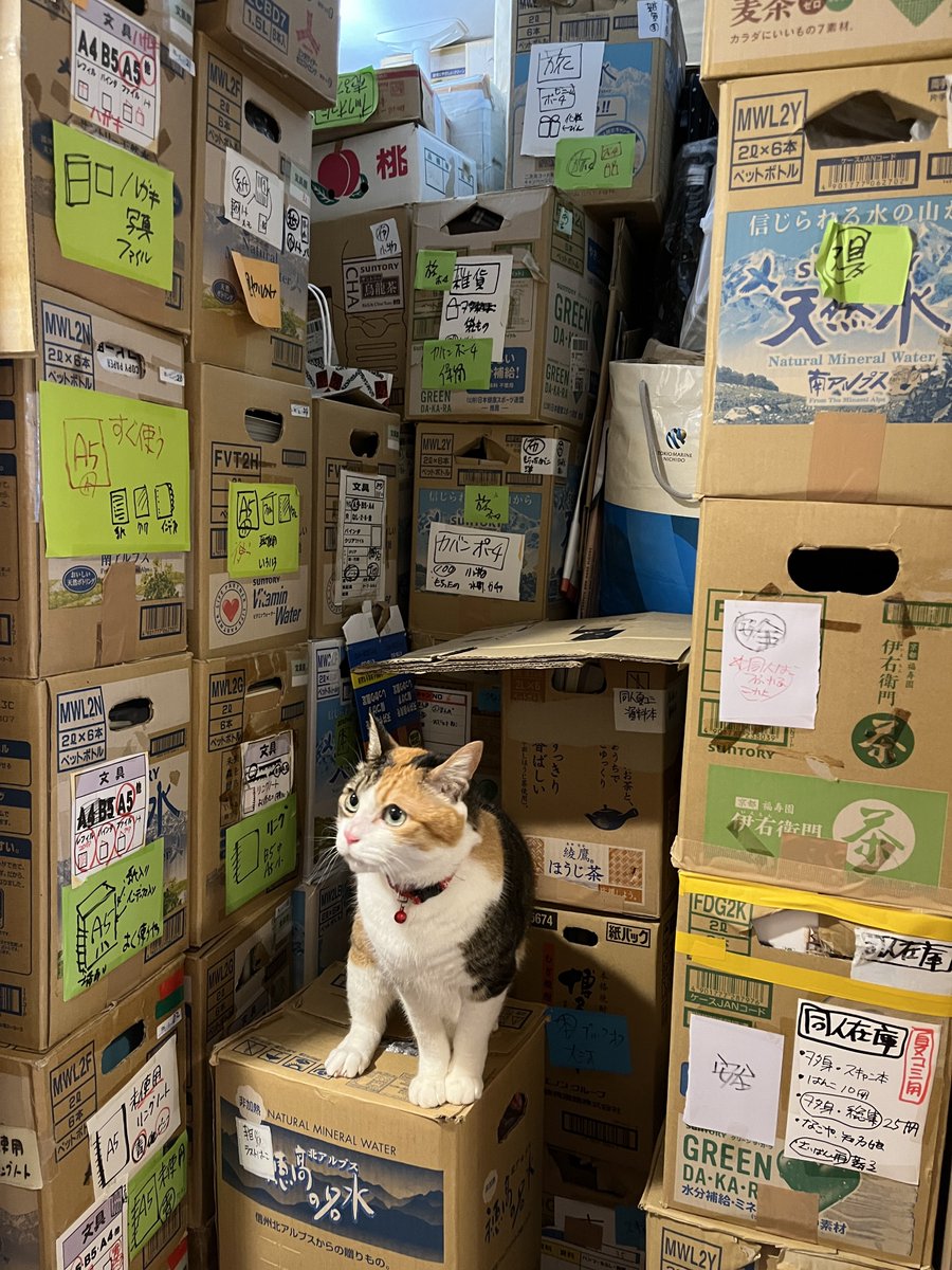 ヲタクページ 毎日scan81日目。チラシをスキャン。今日は、ヲタク部屋の発掘作業