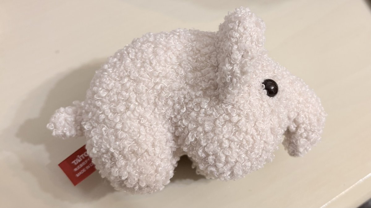 ドムドムのくじ引けたしC賞のマスコット当たってハッピー✌️✨
色迷ったけど白色のおかゆちゃんにした🤍