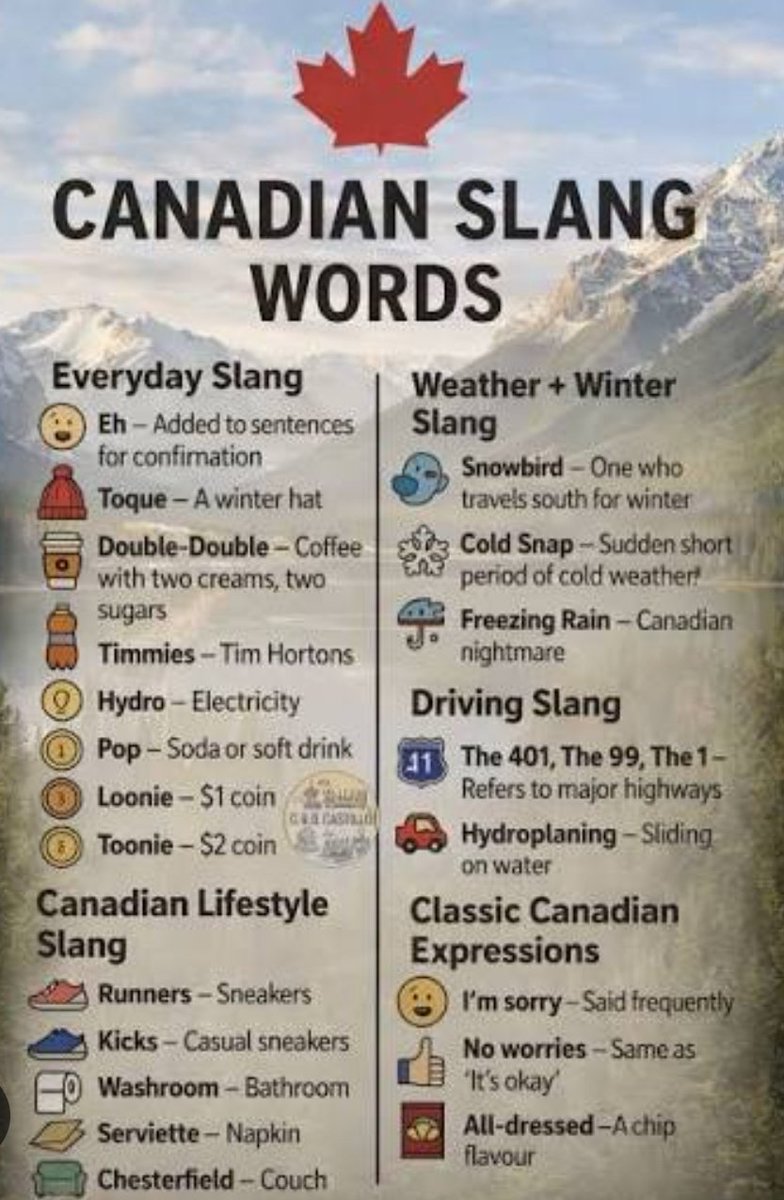 If you're bored at home this weekend while avoiding the cold, here are some Canadian slang words you can learn 🇨🇦🤭