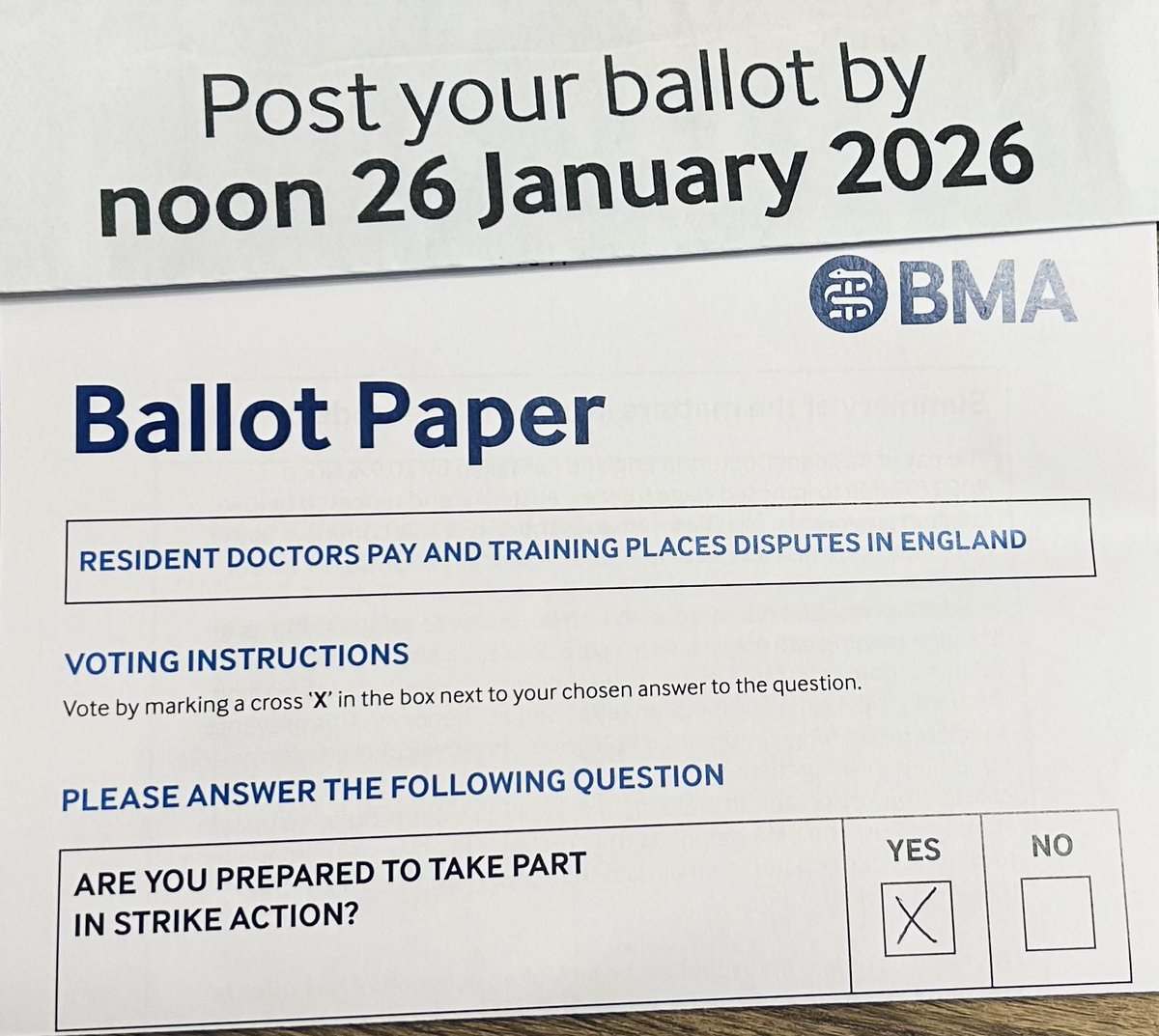 Stephen McAleer tweet media