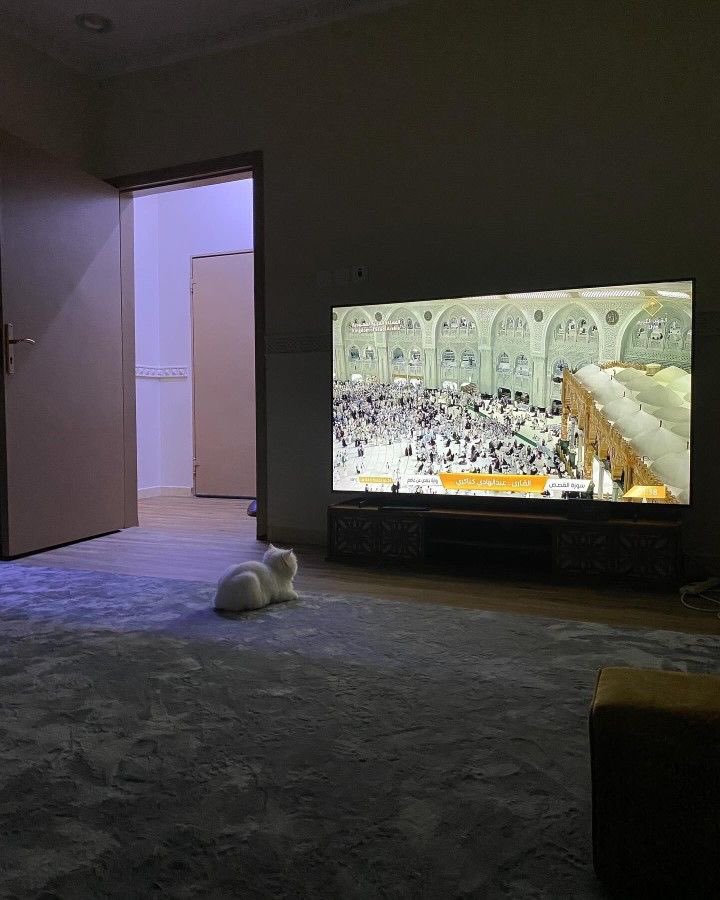 𓆸 figürsel (@ffigursel) on Twitter photo 