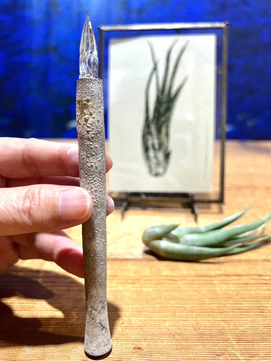 GlassToos's tweet image. "Draw" 田中MANのワークショップ
「ガラスペンで奇妙な植物を描こう」
【日時】
2月28日（土）10:15〜13:00
（開場は10:00 、おやつタイムあり）
【申込先】
Glass Studio TooSへメールしてください。
メールアドレス／　glass@toos.jp
件名を「田中MAN WS応募」としてください。…