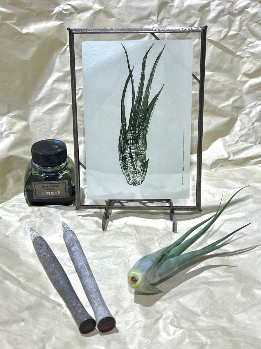 GlassToos's tweet image. "Draw" 田中MANのワークショップ
「ガラスペンで奇妙な植物を描こう」
【日時】
2月28日（土）10:15〜13:00
（開場は10:00 、おやつタイムあり）
【申込先】
Glass Studio TooSへメールしてください。
メールアドレス／　glass@toos.jp
件名を「田中MAN WS応募」としてください。…