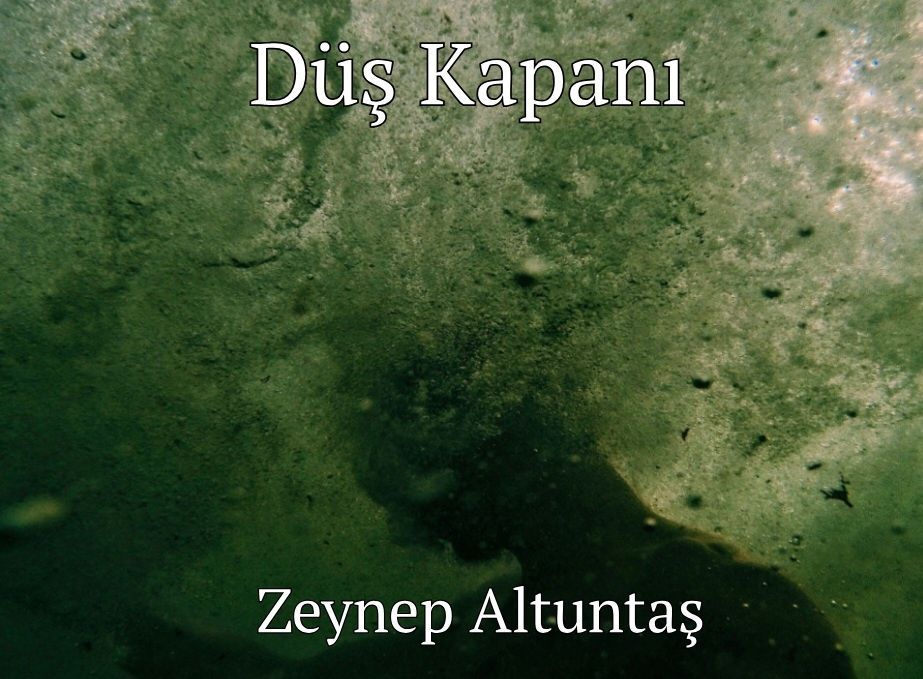 "Neden bu rüyada olduğunu hatırladı. Gerçekleşme ihtimalinin yanında uğrunda ödenmesi gereken bedellerin önemsiz birer detay kaldığı arzusunu, burada bulmayı umduğu şeyi…" 
-Düş Kapanı, Zeynep Altuntaş 
kovuk.org/dus-kapani/