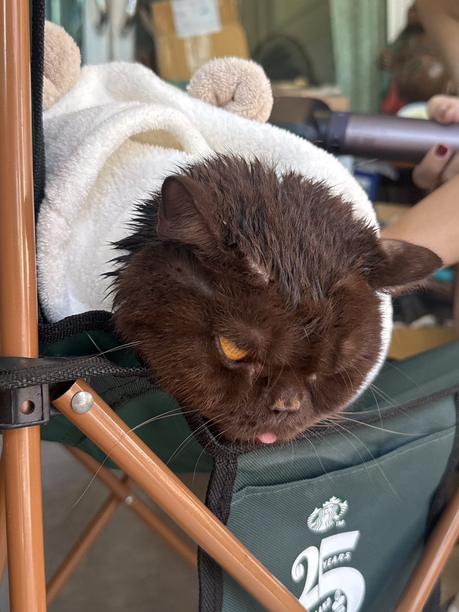 yoojeenoo's tweet image. อาบน้ำตุวหดเเรยย