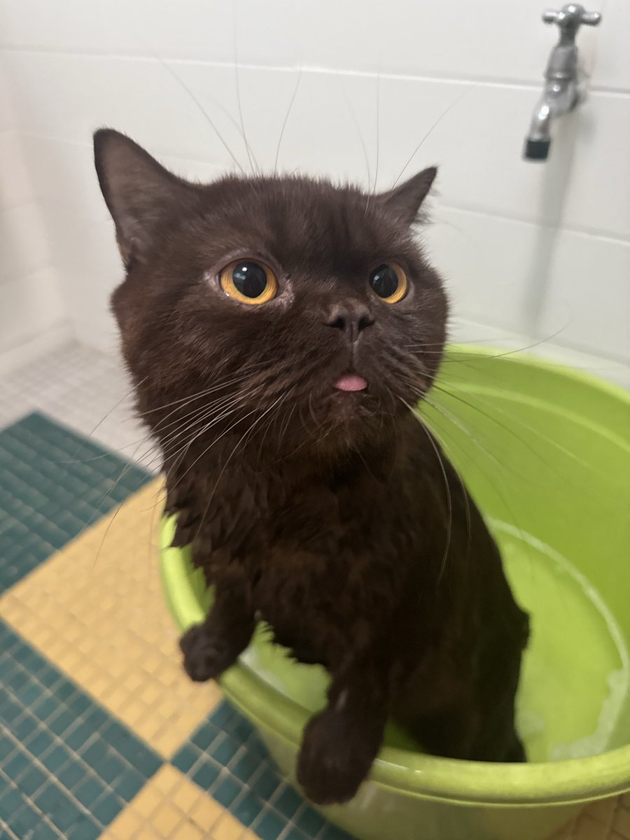 yoojeenoo's tweet image. อาบน้ำตุวหดเเรยย