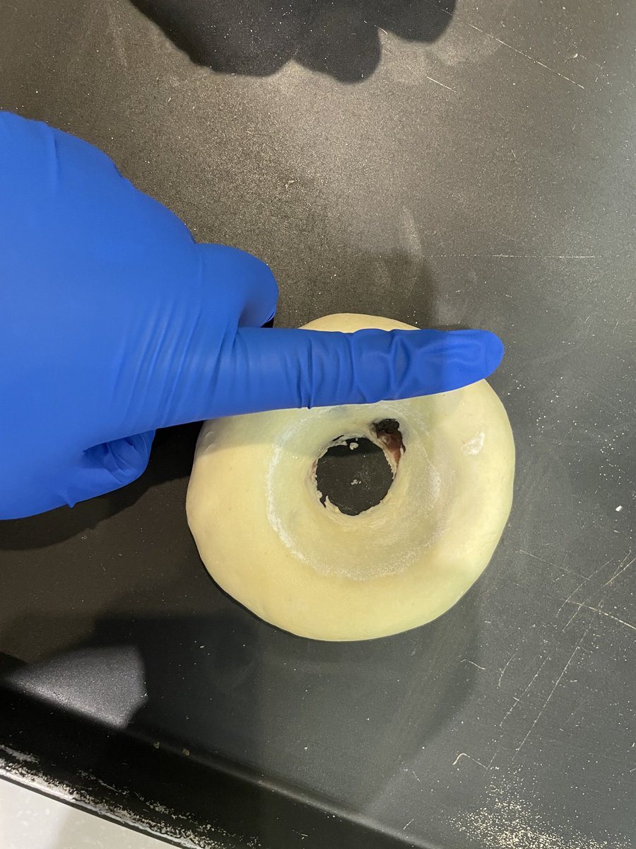 ddalgiiiigeul's tweet image. ✨여러 직업을 가졌던 사람🔥✨

은 접니다!!!

저는 졸업하고 비슷한 직업을 가진 적이 별로 없어요. 전공 살린 일도 해보고, CS 관리직, 바리스타, 제과/제빵 자격증 따서 빵집에서 일도 했었어요. 사실 제일 하고 싶던 일이 제과/제빵이었는데 일하고 얼마지나지 않아서 습진이 정~말 심하게…