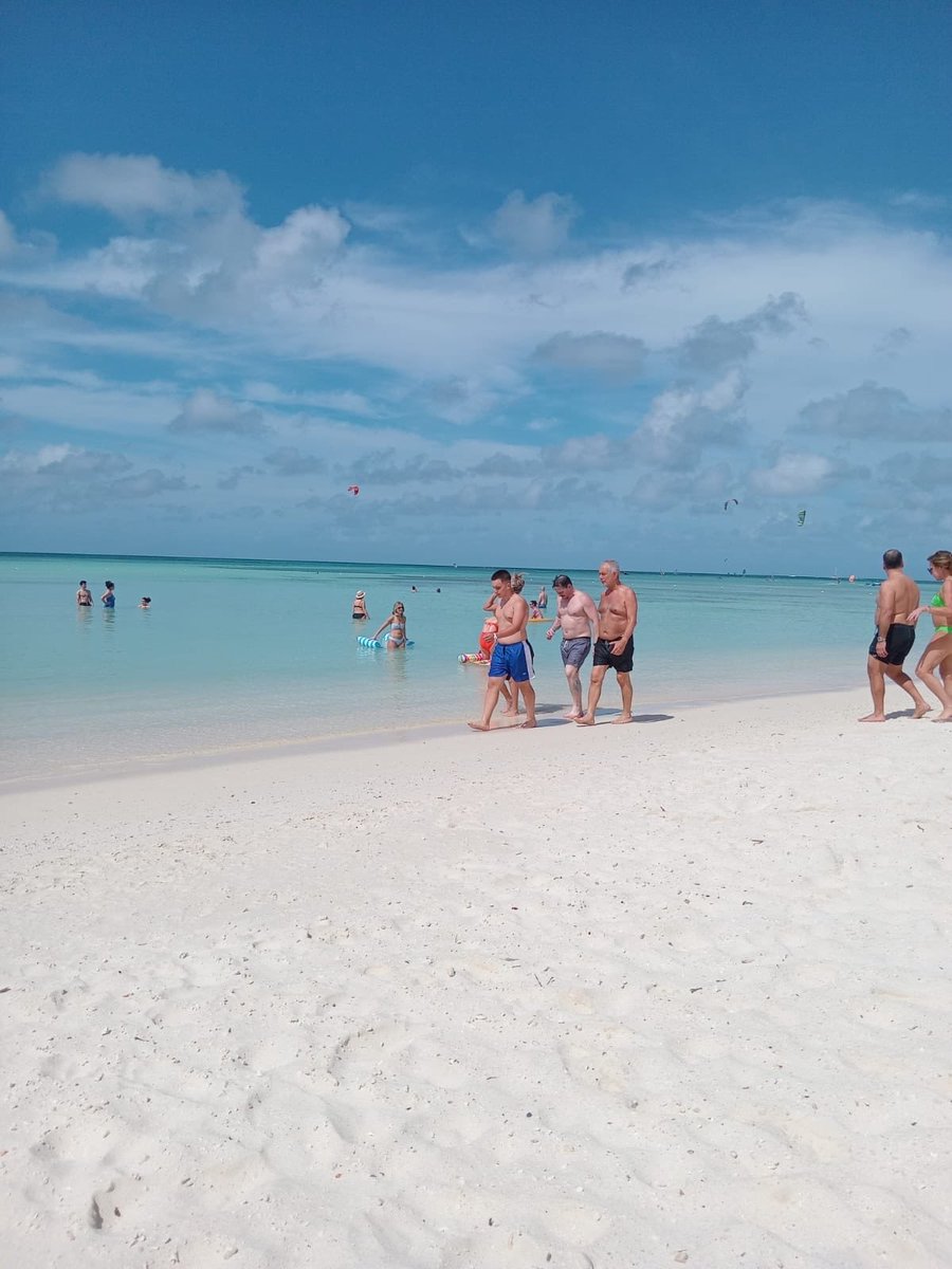 El intendente de La Plata, <a href="/Julio_Alak/">Julio Alak</a>, en Aruba mientras la ciudad se cae a pedazos, tiene olor a pis, está llena de pozos y tiene la tasa de delitos más altos de hace décadas. Este es el candidato que quiere Kicillof para sucederlo ¿Se fue con la guita de las plazas?