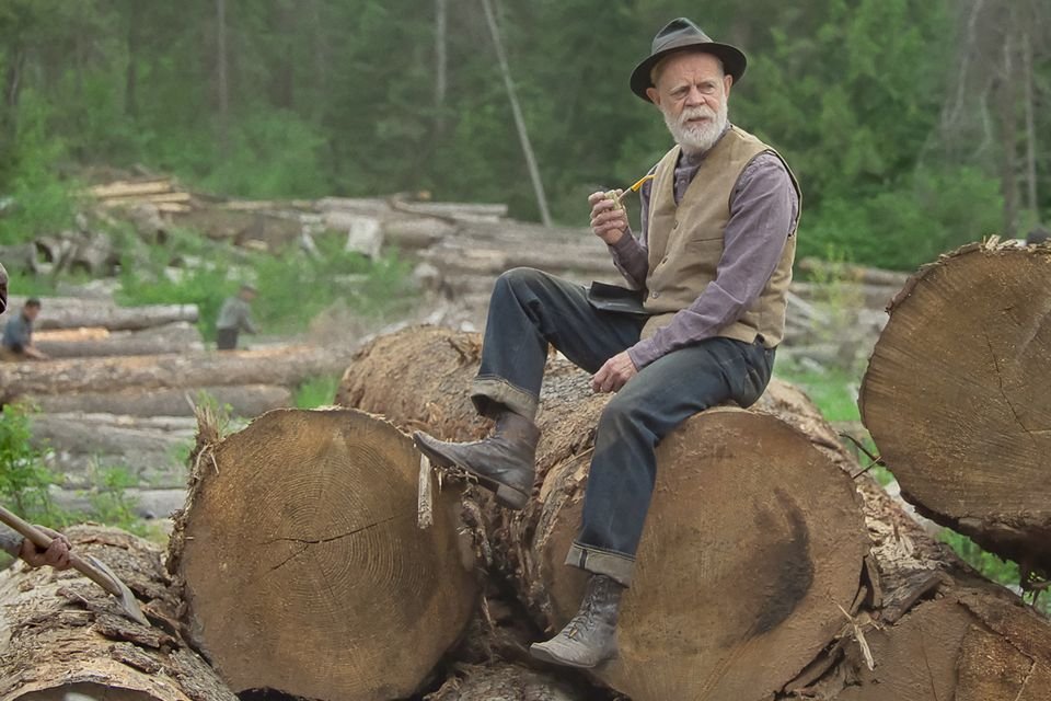 Volviendo a los Oscar, echo en falta la nominación como secundario de William H. Macy por 'Sueños de trenes', alguien que intenta darle sentido al mundo incluso cuando ese mundo no tiene sentido.