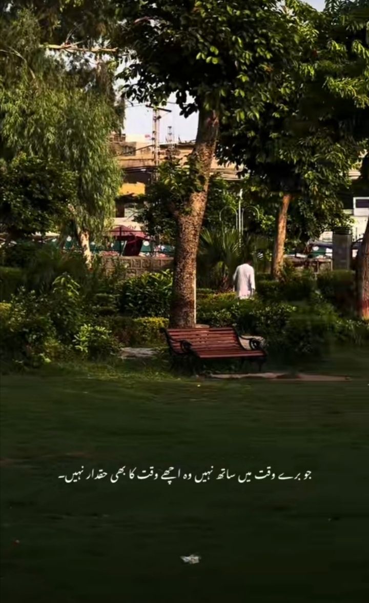 Zumar Yousaf tweet media