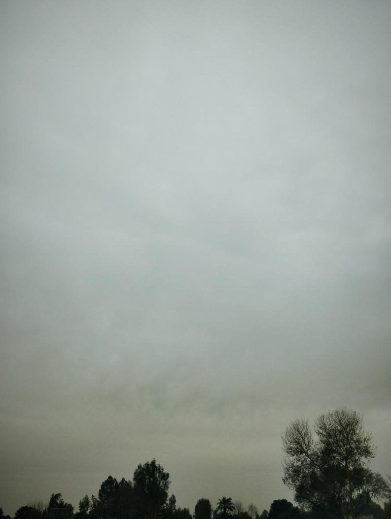 𝐌𝐮𝐡𝐚𝐦𝐦𝐚𝐝 𝐒𝐡𝐨𝐚𝐢𝐛✍🏻 tweet media