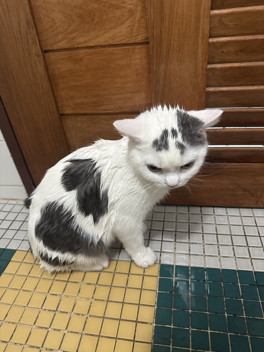 yoojeenoo's tweet image. ส่วนคนนี้ กุจะบ้า