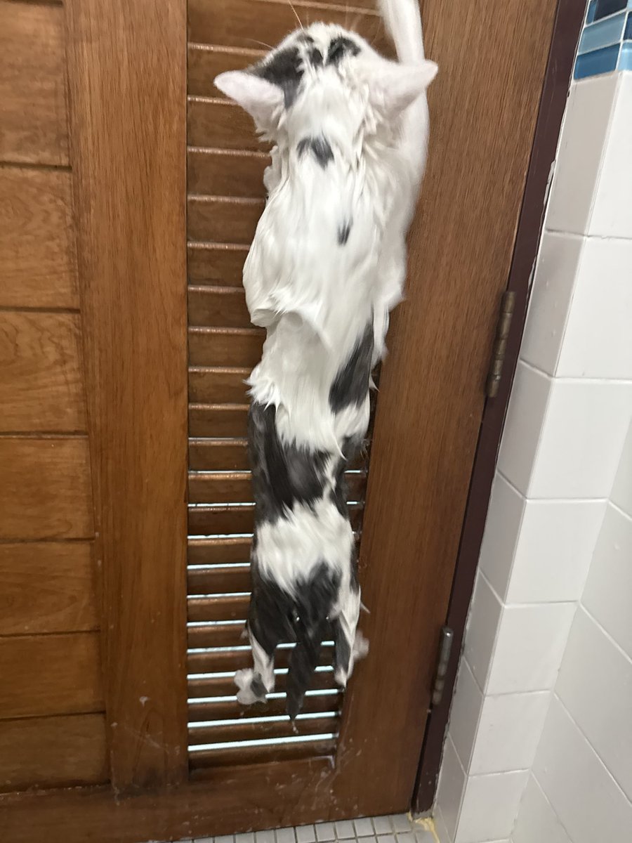 yoojeenoo's tweet image. ส่วนคนนี้ กุจะบ้า