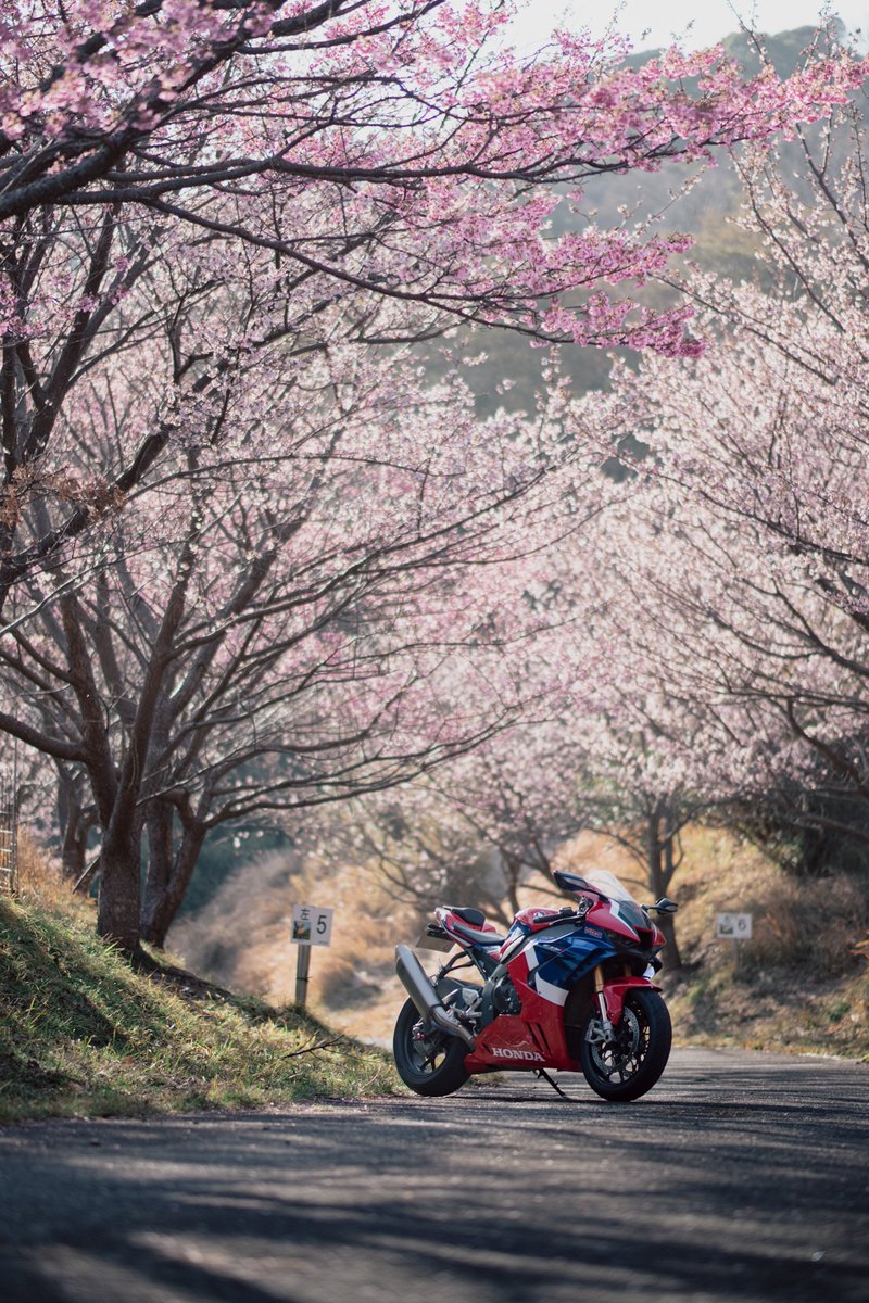 ゆうのアオーリオ🍏 (@MarinosZX4RR) / Posts / X