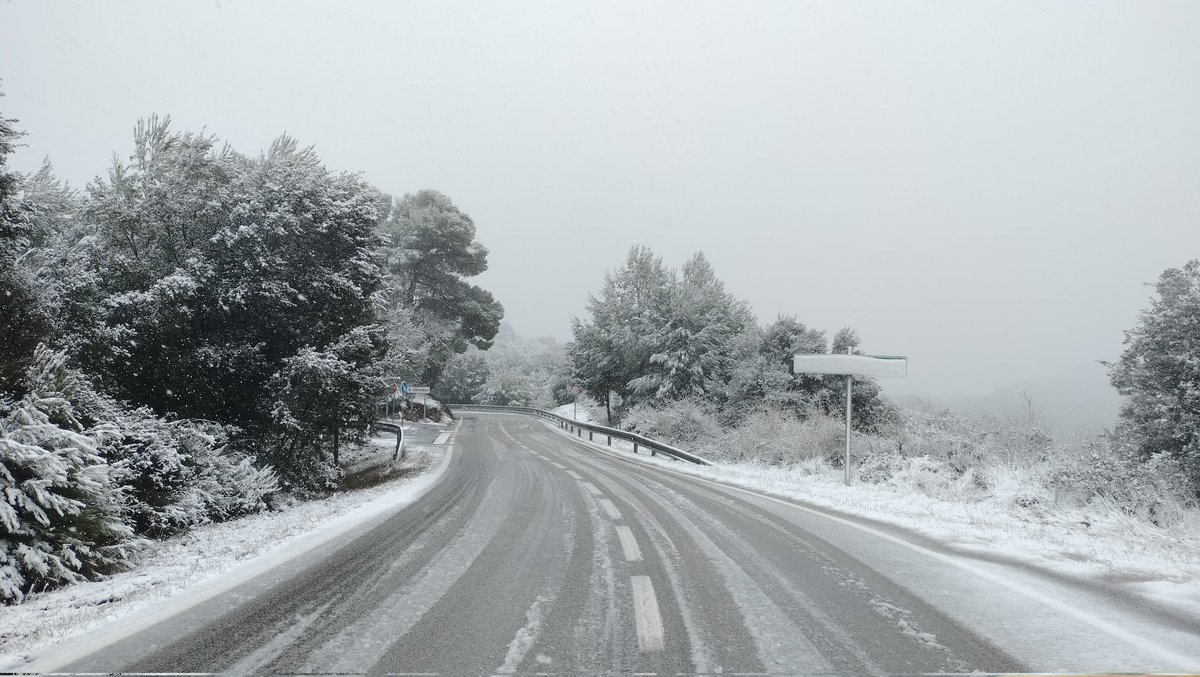 Òscar Moreno tweet media