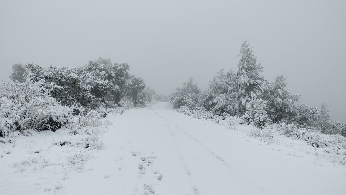 Òscar Moreno tweet media