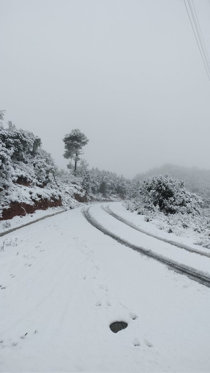 Òscar Moreno tweet media