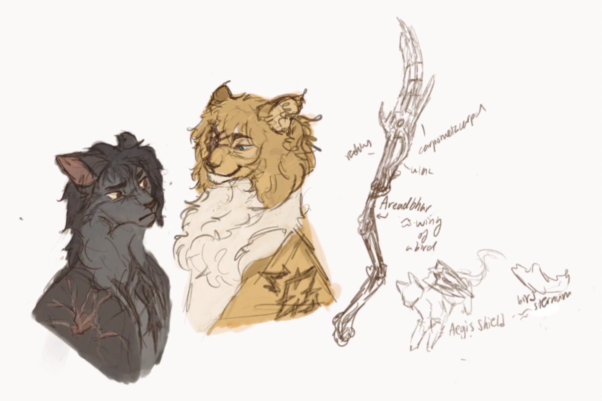 macabreltrench's tweet image. #fe3h Dimitri and Felix as cats

In which the relics are made of bird bones instead of Nabatean