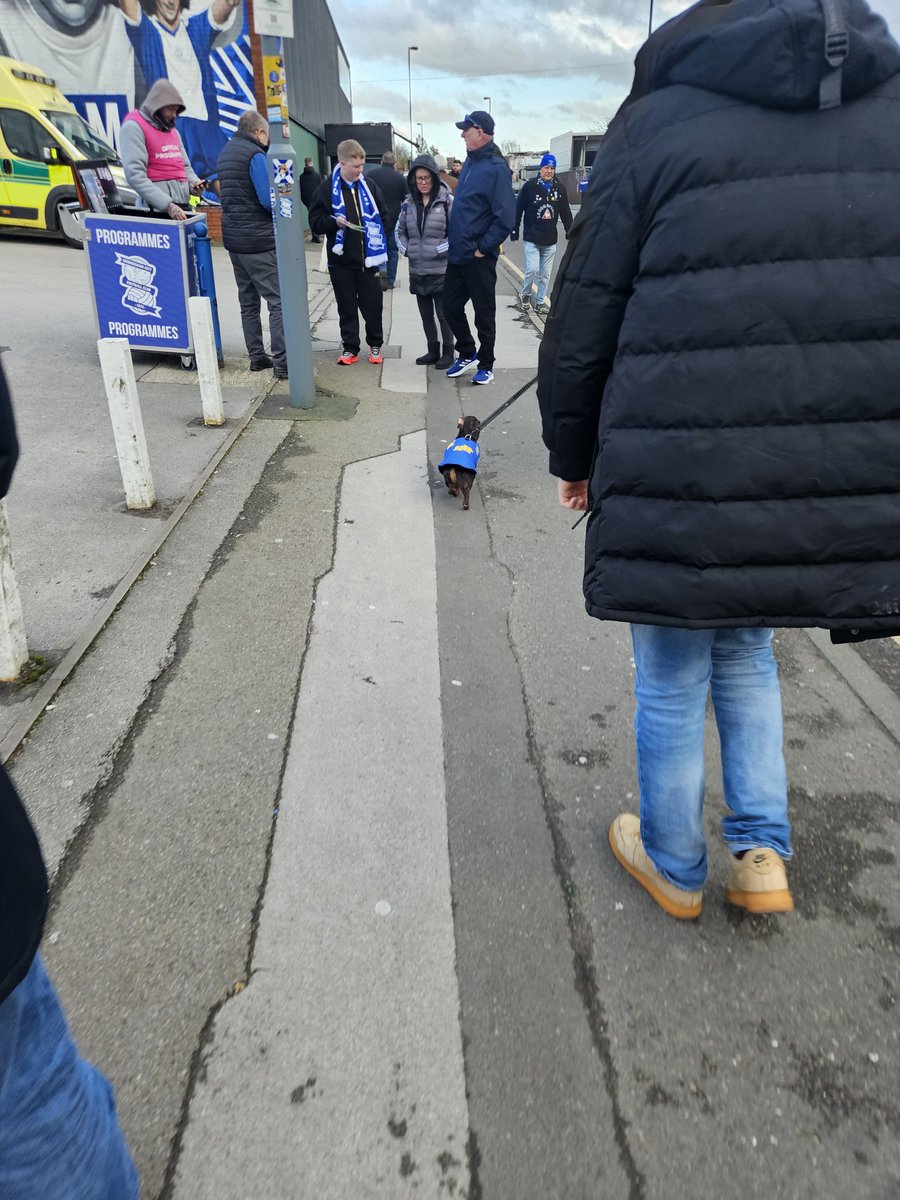 rob705799036's tweet photo. teddy is here! 3 points confirmed 
@BCFC https://t.co/1CRm1oxGyB